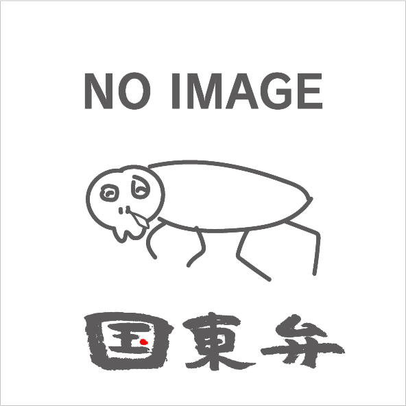 こんげを表した絵